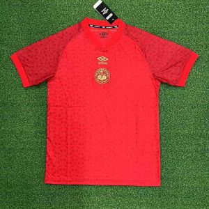 Bournemouth 2025-26 Camiseta de entrenamiento