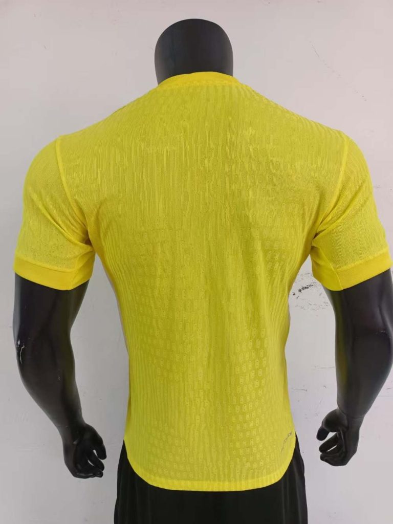 Francia 2025-26 Visitante Camiseta de portero versión jugador