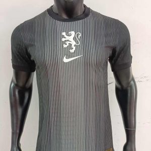 Países Bajos 2025-26 Camiseta de portero versión jugador