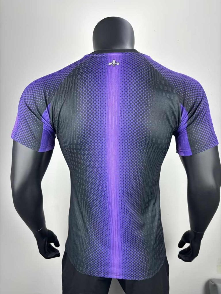 Paris Saint-Germain 2025 Versión jugador Special Camiseta