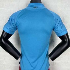 Santos 2025-26 Tercera camiseta versión jugador