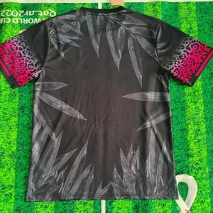 Brasil 2025 Special Camiseta