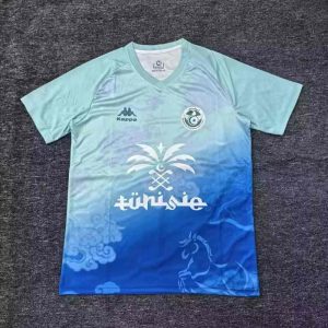 Túnez 2025 Camiseta de entrenamiento