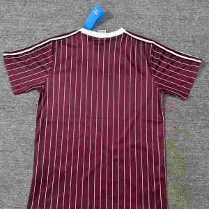 Ajax 2025-26 Special Editionr Camiseta