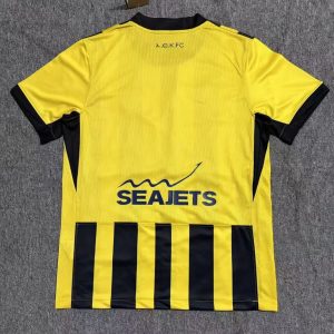 AEK Athens 2025-26 Camiseta local