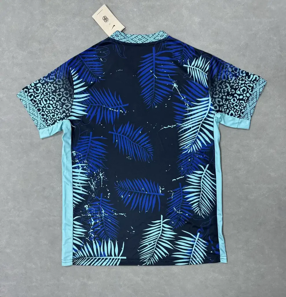 Brasil 2025 Special Camiseta