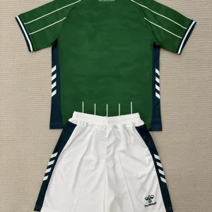 niños Werder Bremen 2025-26 Local Kit