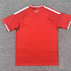 Gales 20025-26 Camiseta local