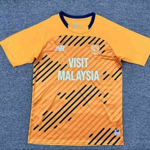Cardiff City 2025-26 Tercera camiseta