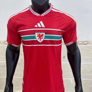 Gales 20025-26 Camiseta local versión jugador