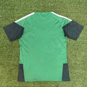 Argelia 2026 FIFA World Cup Camiseta de entrenamiento