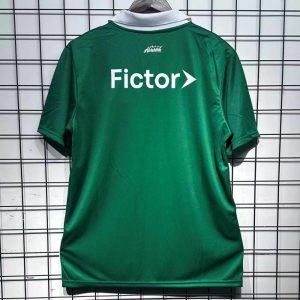 Palmeiras 2026-27 Special Edition Camiseta