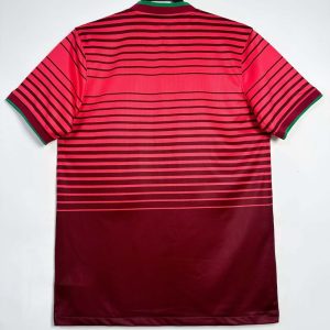 Portugal 2014 Camiseta local