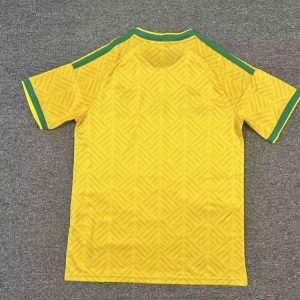 Sudáfrica 2026 FIFA World Cup Camiseta local