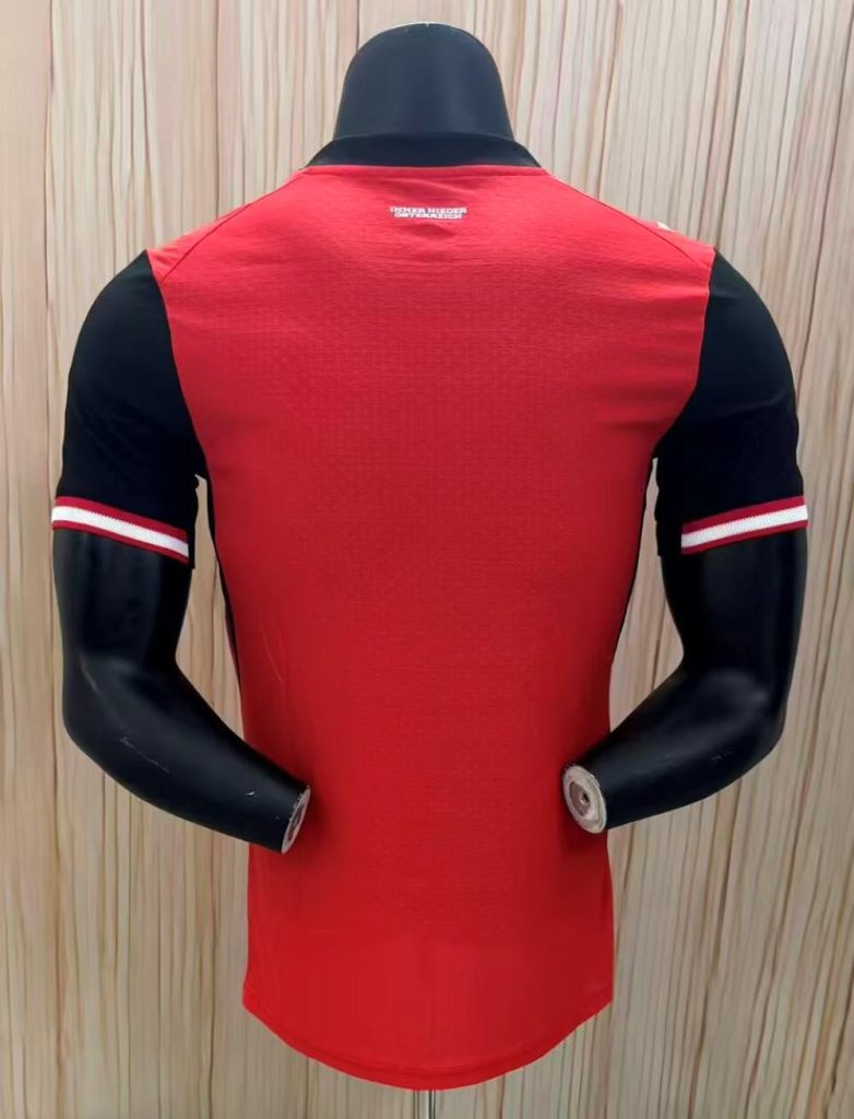 Austria 2026 FIFA World Cup Camiseta versión jugador